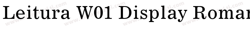 Leitura W01 Display Roman字体转换